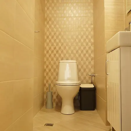 Луксозна вила тодор