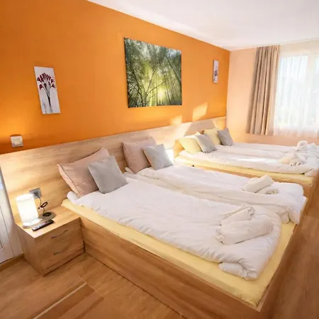 Луксозна вила тодор Широки дол